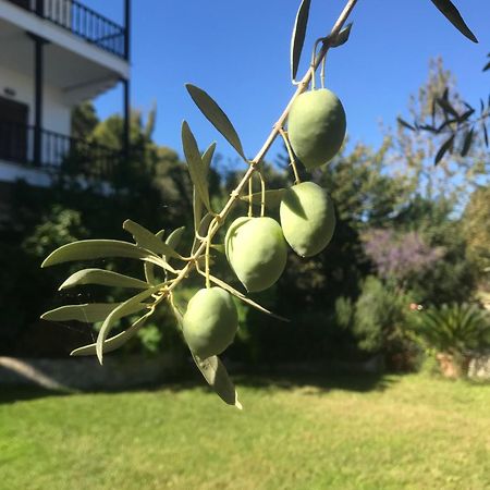Apartamento Nikos & Panagiota Vourvourou Exterior foto